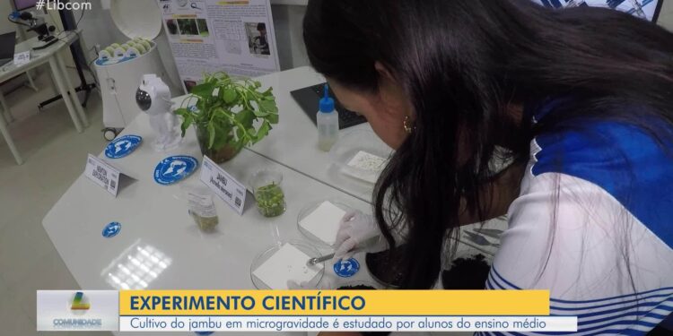 VÍDEOS: Liberal Comunidade de 27 de julho de 2025