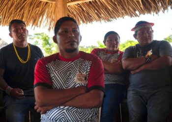 Vestígios reforçam a presença de indígenas isolados em terra protegida da Amazônia | Pará