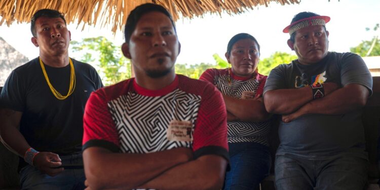 Vestígios reforçam a presença de indígenas isolados em terra protegida da Amazônia | Pará