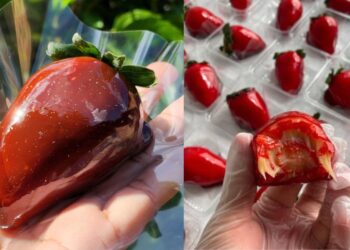 ‘O morango do amor salvou o meu mês’: doce impulsiona vendas na Grande Belém e ganha versões com sabores regionais