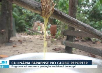 Açaí, tucupi e maniçoba são liberados para venda nas áreas oficiais da COP 30, em Belém