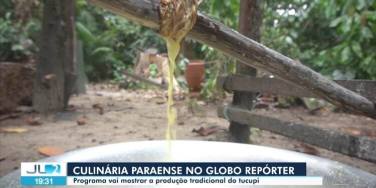 Açaí, tucupi e maniçoba são liberados para venda nas áreas oficiais da COP 30, em Belém