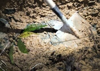 Acusado de matar tatuadora começa a ser julgado no Pará