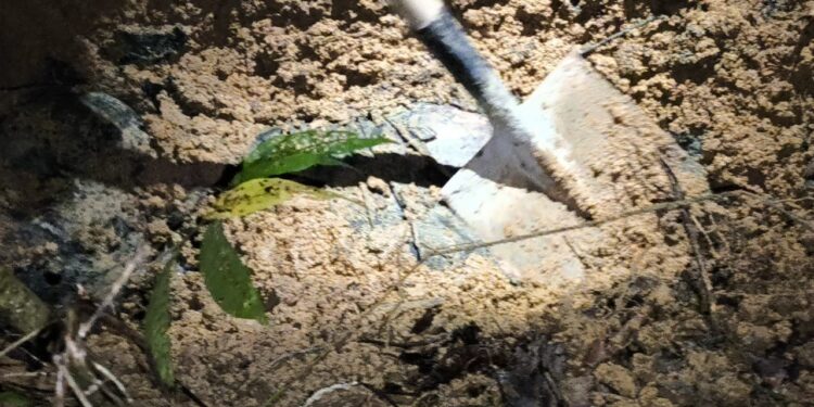 Acusado de matar tatuadora começa a ser julgado no Pará