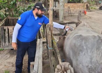 Adepará abre seleção para 58 vagas no estado; veja edital e como se inscrever