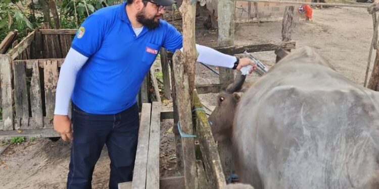 Adepará abre seleção para 58 vagas no estado; veja edital e como se inscrever