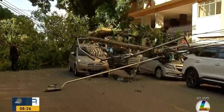Árvore cai, atinge poste, carros e interrompe trânsito em Belém; VÍDEO