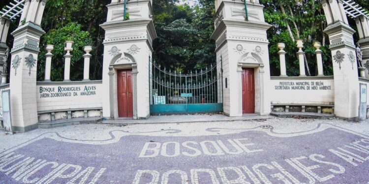 Bosque Rodrigues Alves completa 142 anos com programação gratuita em Belém