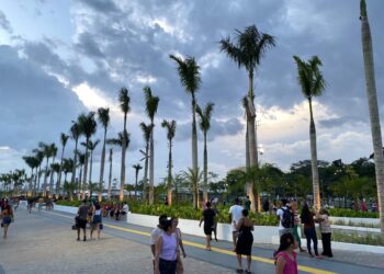 COP30 oferece vaga para consultor em gestão do programa de voluntariado; remuneração chega a R$38,4 mil