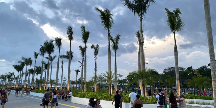 COP30 oferece vaga para consultor em gestão do programa de voluntariado; remuneração chega a R$38,4 mil