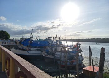 Escalpelamento na Amazônia: mulheres têm cabelos arrancados por motores de barco em comunidades ribeirinhas