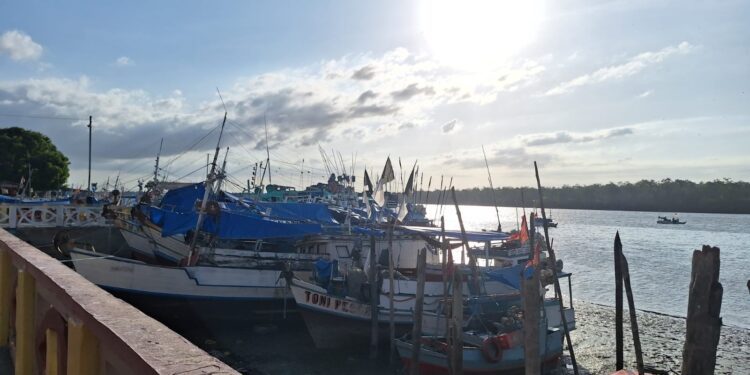 Escalpelamento na Amazônia: mulheres têm cabelos arrancados por motores de barco em comunidades ribeirinhas