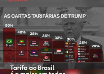 Exportações de madeira do Pará sofrem queda de 11% e setor teme impacto da tarifa dos EUA