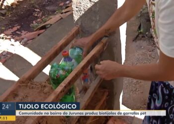 Feito de garrafa pet e pedaços de plástico, biotijolo ergue espaços de cultura na periferia de Belém