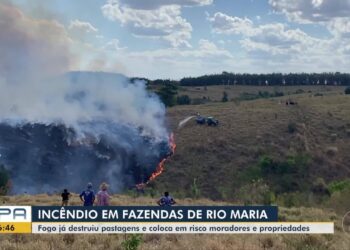 Incêndio em fazendas já destruiu 8 km de área no sul do Pará