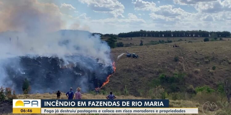Incêndio em fazendas já destruiu 8 km de área no sul do Pará