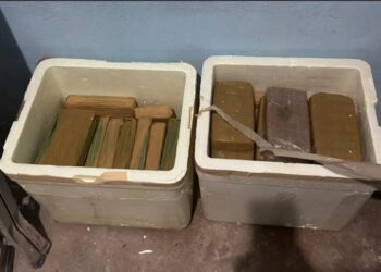 Irmãos são presos com 41 tabletes de óxi escondidos em caixas de isopor em Castanhal, no Pará | Pará