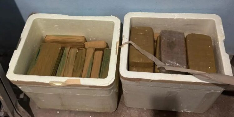 Irmãos são presos com 41 tabletes de óxi escondidos em caixas de isopor em Castanhal, no Pará | Pará