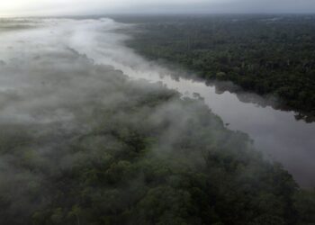 Justiça condena madeireira a pagar R$ 22,8 milhões por danos em terra indígena no Pará