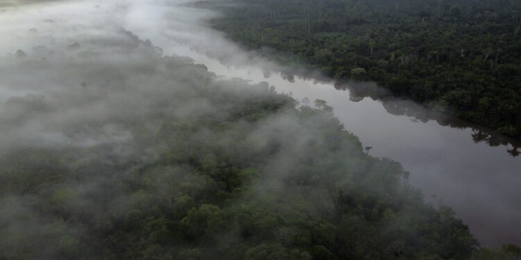 Justiça condena madeireira a pagar R$ 22,8 milhões por danos em terra indígena no Pará