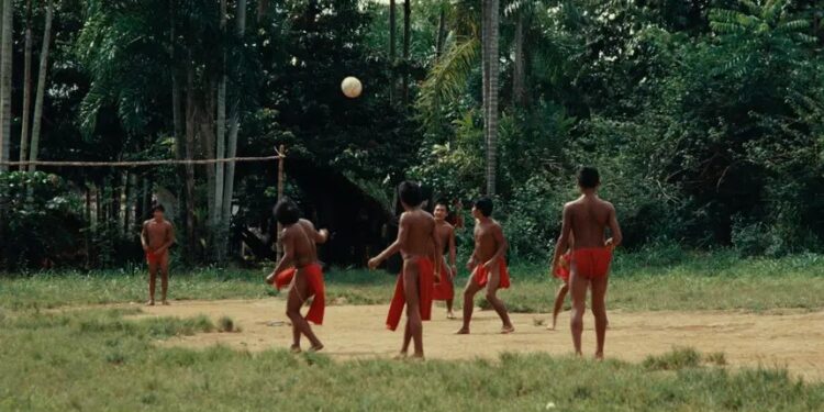 Mostra Ecofalante de Cinema chega a Belém nesta quarta-feira, 20, com programação gratuita