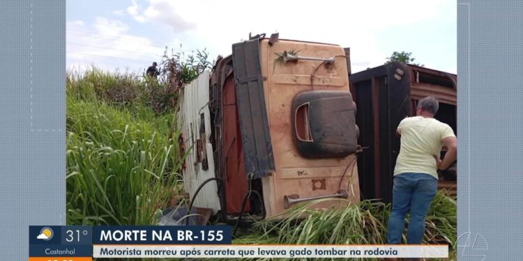 Motorista morre após carreta carregada com gado tombar na BR-155, no sul do Pará