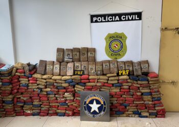 Operação apreende mais de 300 tabletes de drogas escondidos em caminhão no Pará