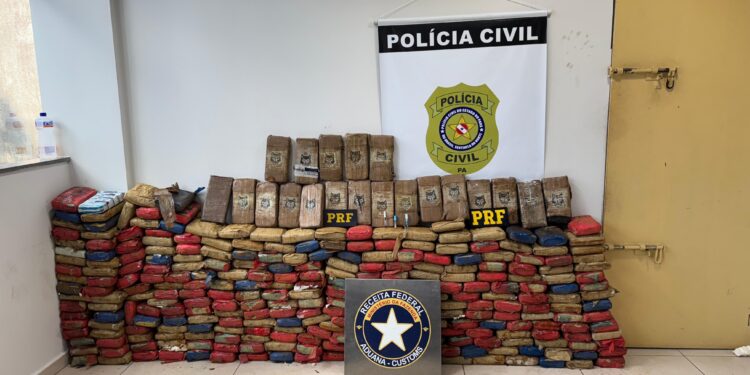 Operação apreende mais de 300 tabletes de drogas escondidos em caminhão no Pará
