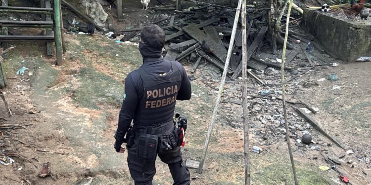 Operação prende um homem e investiga ameaças contra candidata a vereadora no Pará