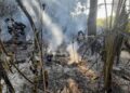 Pará decreta emergência ambiental e climática por 180 dias