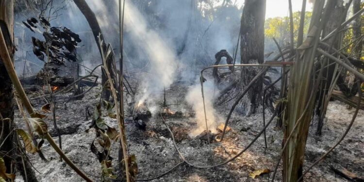 Pará decreta emergência ambiental e climática por 180 dias