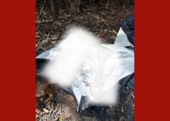 Polícia encontra ossadas humanas e destroços após queda de avião no Pará