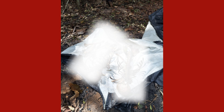 Polícia encontra ossadas humanas e destroços após queda de avião no Pará