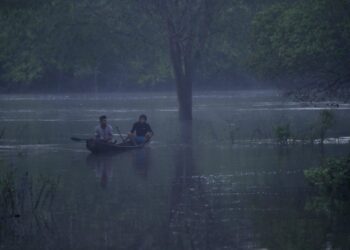 Por que proteger territórios indígenas é importante para o equilíbrio do clima?