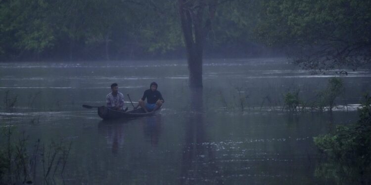 Por que proteger territórios indígenas é importante para o equilíbrio do clima?