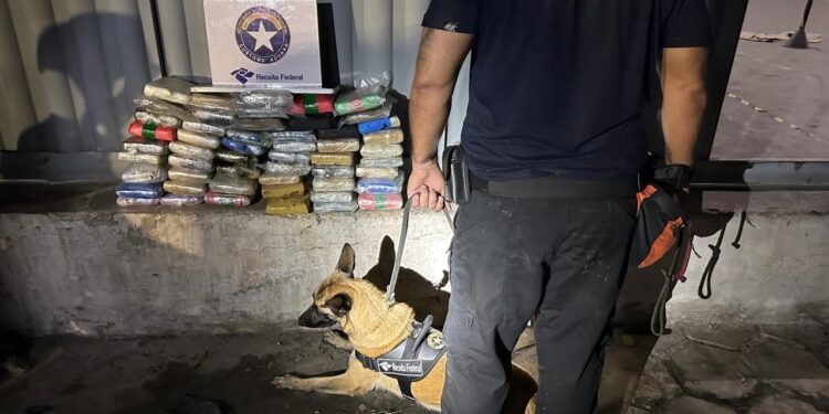 Receita Federal apreende mais de 50 quilos de skunk escondidos em reservatórios de óleo na Grande Belém