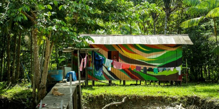 Street River Amazônia colore fachadas de comunidades ribeirinhas em edição especial para COP, em Belém