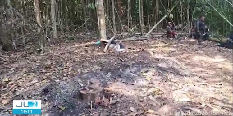 VÍDEOS: JL2 de segunda-feira, 11 de agosto de 2025