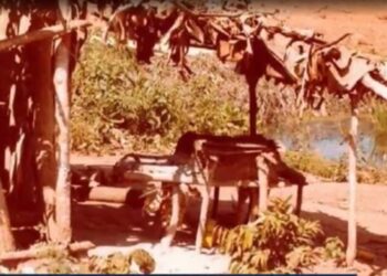 Volkswagen é condenada a pagar R$ 165 milhões por trabalho escravo no PA