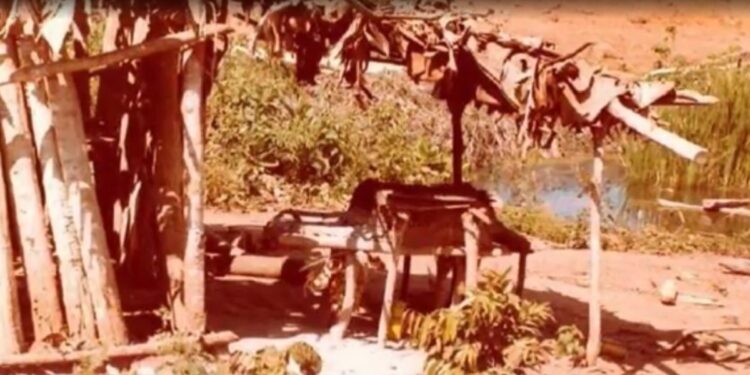 Volkswagen é condenada a pagar R$ 165 milhões por trabalho escravo no PA