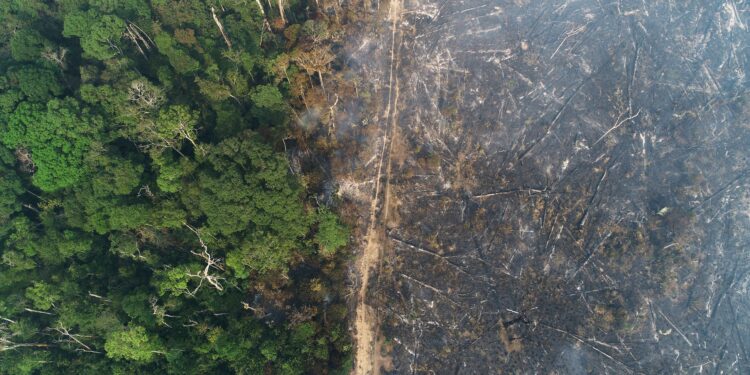 mobilizar trilhões para financiamento climático global
