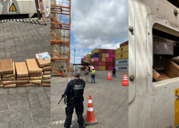 Agentes federais encontram cocaína escondida em contêiner com açaí no PA; destino era Austrália