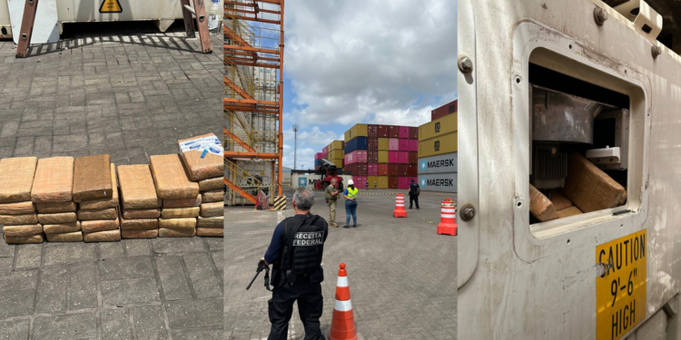 Agentes federais encontram cocaína escondida em contêiner com açaí no PA; destino era Austrália