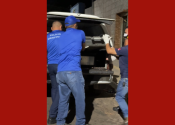 Jovem é assassinado a tiros em Canaã dos Carajás, no Pará