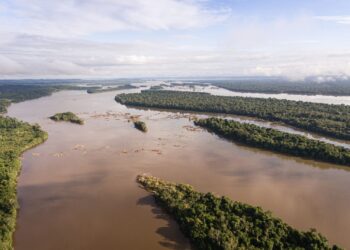 Municípios do Pará recebem equipamentos para combater desmatamento e incêndio