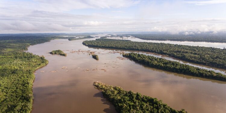Municípios do Pará recebem equipamentos para combater desmatamento e incêndio